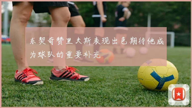 东契奇赞里夫斯表现出色期待他成为球队的重要补充